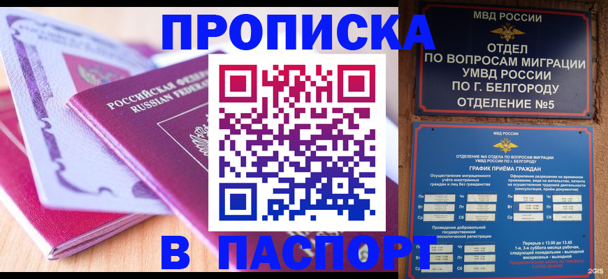 временная регистрация законно в Камчатском крае